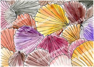 Pen and ink drawing of overlapping seashells, featuring bold ink lines, soft washes, and vibrant coastal hues inspired by the seaside.