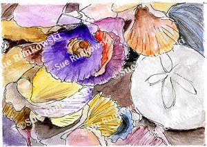 Pen and ink drawing of seashells and a sand dollar, inspired by the seasides, flowing ink lines, and coastal tones.