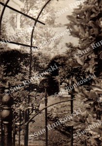 Sepia-toned garden photo gravure print of a wrought iron archway and lush foliage, evoking a quiet, atmospheric New Orleans garden scene.