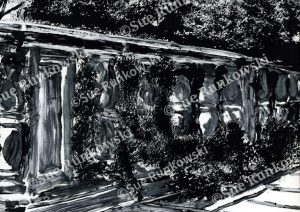 Black-and-white monotype image of stone garden railing, rich in texture and contrast, evoking depth, shadow, and organic architectural forms.