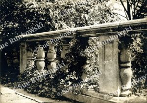 Sepia tone photo gravure print of stone garden railing with ivy, rich in texture and contrast, evoking depth, shadow, and organic architectural forms.