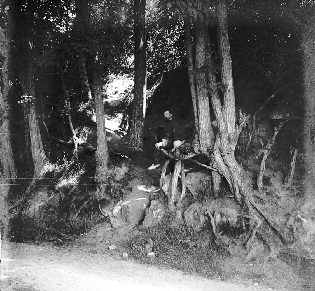 A black-and-white photograph of a wooded roadside in Auvers-sur-Oise showing exposed tree roots and slender trunks along a raised embankment. A man sits among the trees near the center of the image, partially surrounded by tangled roots and deep shadows. The location is believed to match the scene depicted in Tree Roots, one of Vincent van Gogh’s final works.