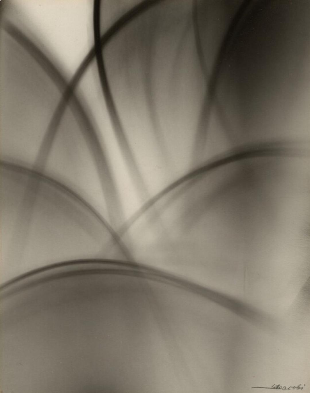 Abstract black-and-white image with soft overlapping curved lines and blurred translucent shapes, creating a flowing, dreamlike composition against a pale background.